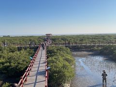 -北海金海湾红树林生态旅游区