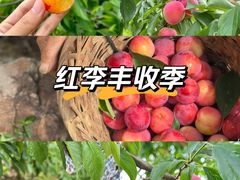 -东山风景区(洞庭东山)