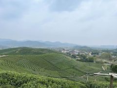 -侘山民宿(杭州西湖龙坞店)