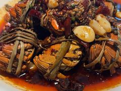 -杨氏青龙虾·羊蝎子(金盛路总店)