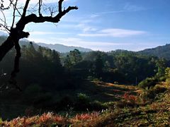 -塔川景区