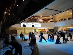 -TheRink大零溜冰场(IFS国金中心店)