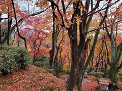 -常寂光寺