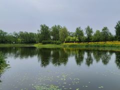 -东郊湿地公园