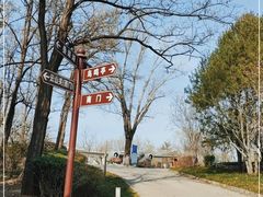 -云岗森林公园