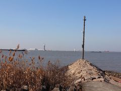 -上海滨江森林公园