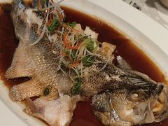 -眉州东坡(北苑华贸店)