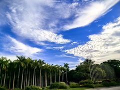 -深圳国际园林花卉博览园