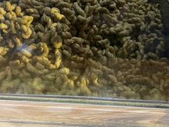 -王阿姨文昌油赞子(府桥街店)