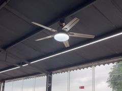 -八仔大富楼·河鲜(西江店)