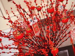 -苏州金鸡湖大酒店