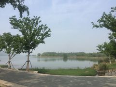 -东湖落雁景区