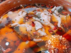 -力力豆花庄(广渠门店)