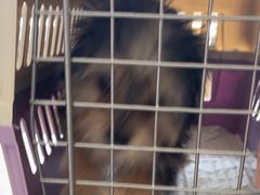 -艾贝尔宠物医院·狂犬免疫点(江山金象城店)