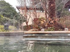 -苏州湾·王焰温泉