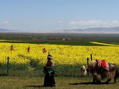 -青海湖国家重点风景名胜区