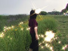 -昆山城市生态森林公园