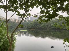 -重庆彩云湖湿地公园