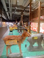 -鲁比猴非洲探索部落(喜盈门店)