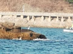 -新金盛·海鲜酒楼(盐田店)