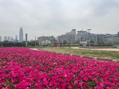 -泉城广场