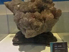 -金钉子远古世界景区