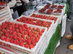 -南坛综合农贸市场