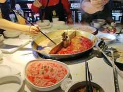 -小龙翻大江文化火锅(宽窄店)