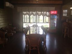 -合肥滨湖国家森林公园