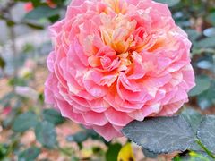 -天河体育中心