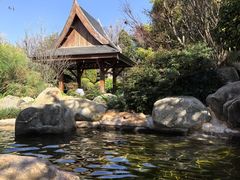 -七彩云南古滇温泉山庄