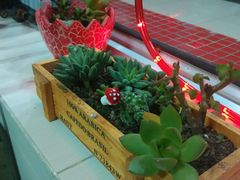 -金太太速食(北下关店)