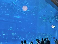 -南昌融创海世界
