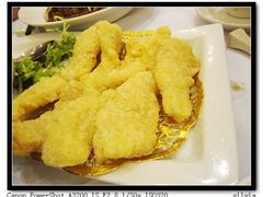 石斑腩-美心皇宫(绿杨坊店)