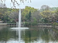 -武汉大学-樱园