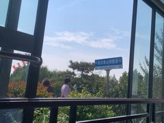 -蘇河湾·新鲁菜·泰山宴(泰山店)