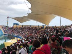 -秦皇岛乐岛海洋王国