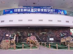 -陕西自然博物馆