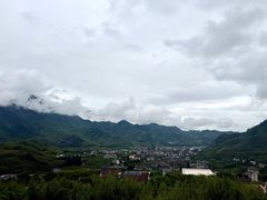 -天目山大树王景区