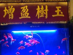 -狮子楼(成都晨光大厦店)