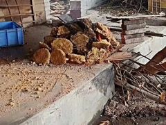 -御霞苑泥烩鸡休闲农庄