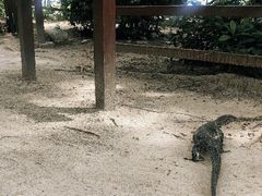 -马奴干岛
