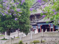 -龙潭水乡