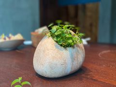 -柒厢食事雅谈