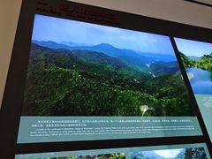 -滴水洞景区