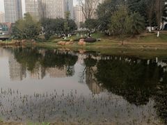 -花果园湿地公园