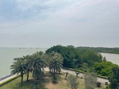 -大湾区中央湿地公园