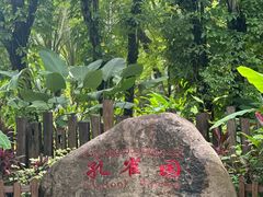 -西双版纳傣族园