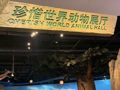 -陕西自然博物馆