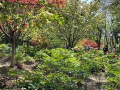 -江南大学(蠡湖校区)